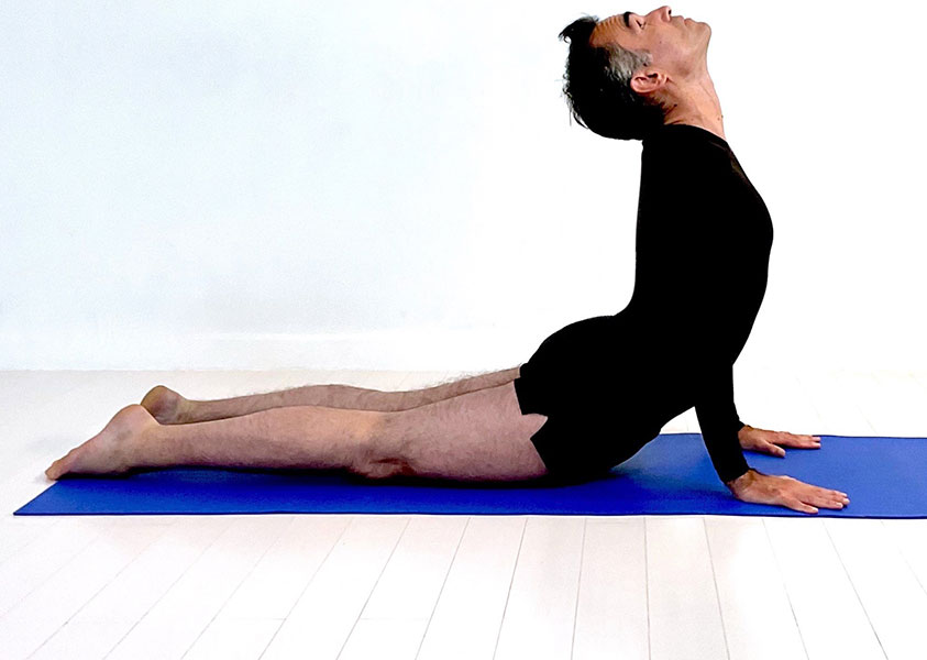 [Atelier Yoga] 