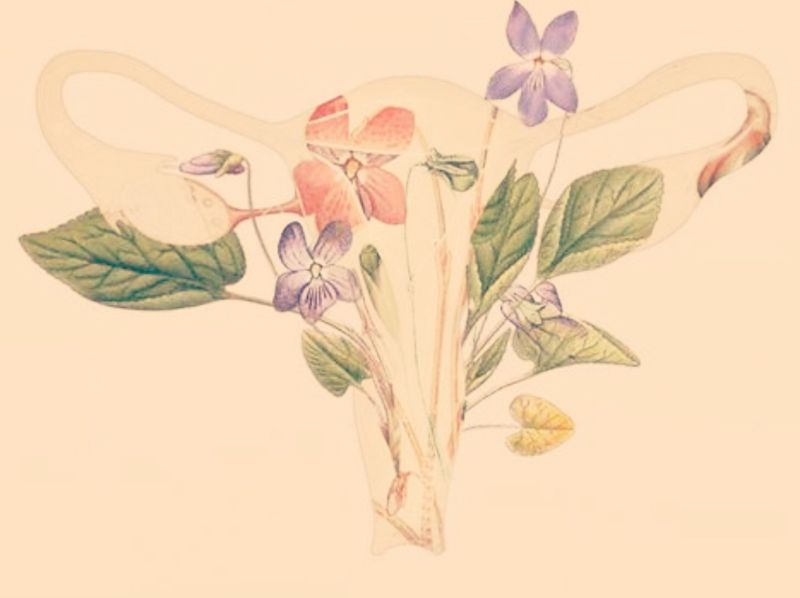 [Atelier Yoga + Cercle de Femmes] 