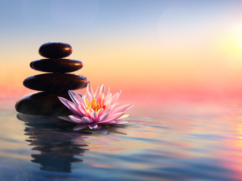[Atelier Méditation] mensuel